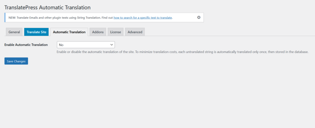 multilingual website